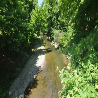 Bağdat Resort Otel - Kütük Evler