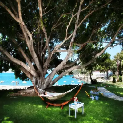 Marvel Tree Hotel