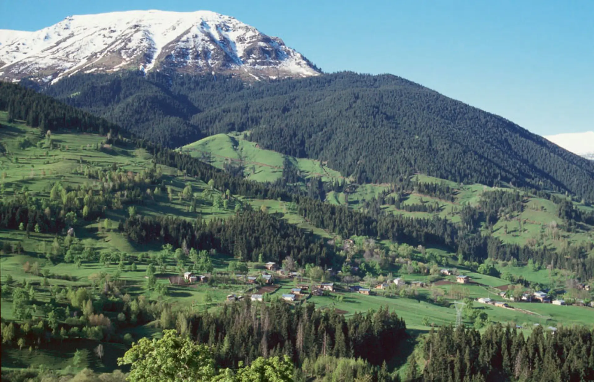 İnanılmaz manzaralarıyla Artvin Borçka gezisi