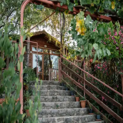 Assos Terrace Hotel