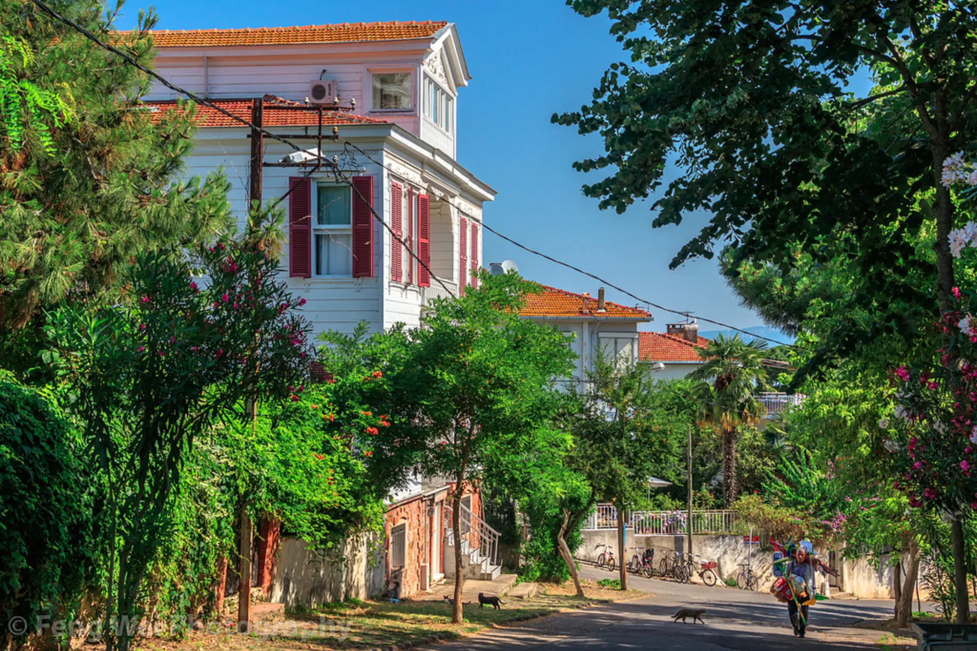 Büyükada