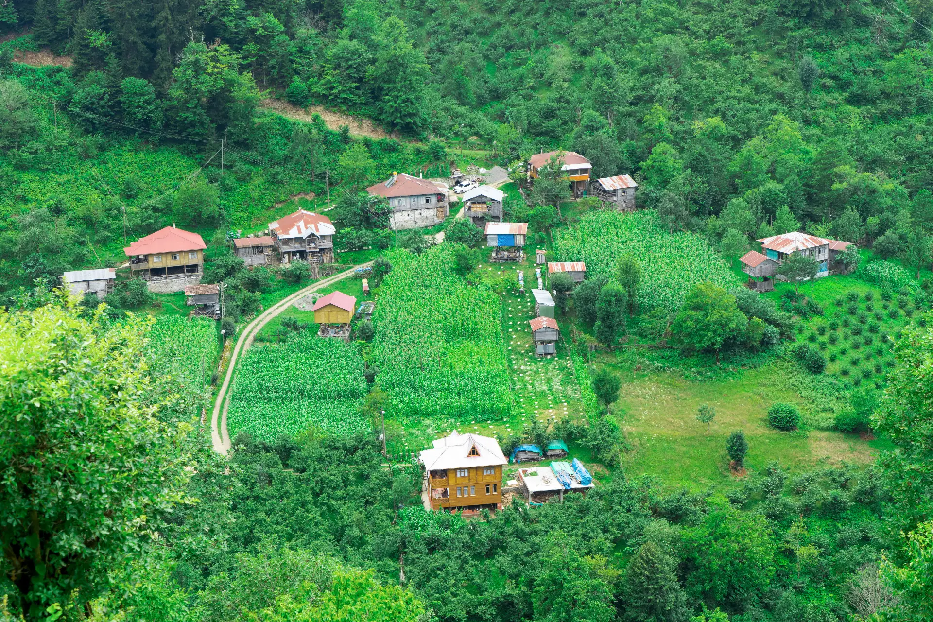 Artvin Gezi Rehberi: Artvin'de Gezilecek Görülecek Yerler