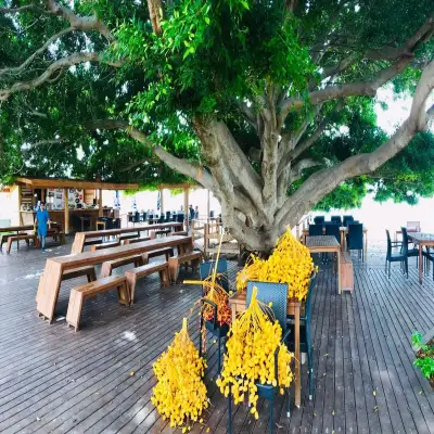 Marvel Tree Hotel