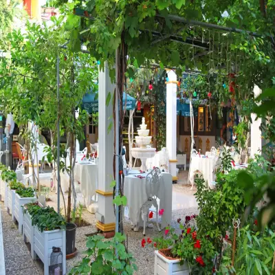 Ada Palas Hotel, +12