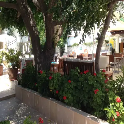 Açelya Otel