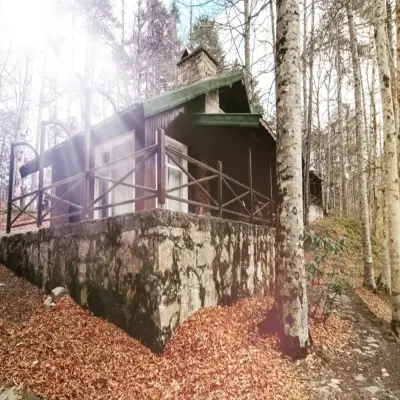 Habitat Mesire Bungalov Evleri - Yedigöller