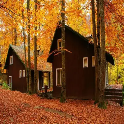 Habitat Mesire Bungalov Evleri - Yedigöller