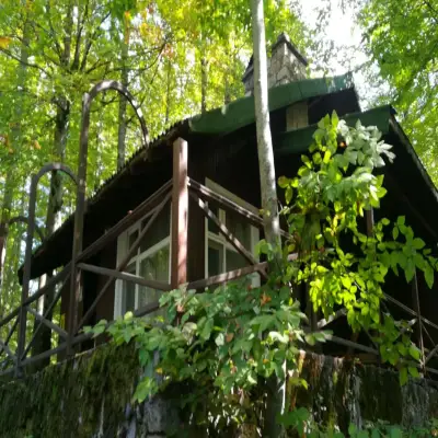Habitat Mesire Bungalov Evleri - Yedigöller
