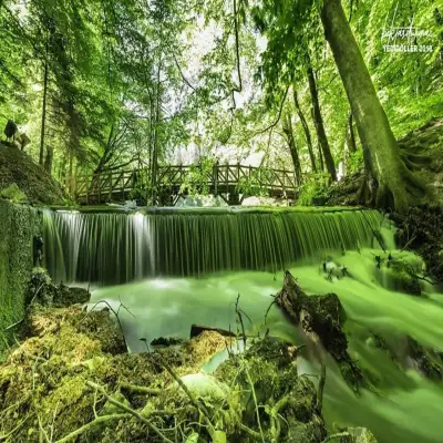 Habitat Mesire Bungalov Evleri - Yedigöller