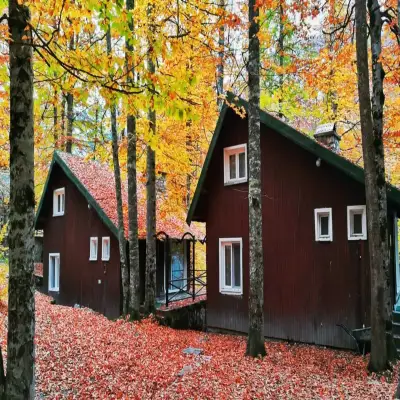 Habitat Mesire Bungalov Evleri - Yedigöller