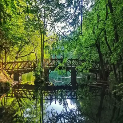 Habitat Mesire Bungalov Evleri - Yedigöller