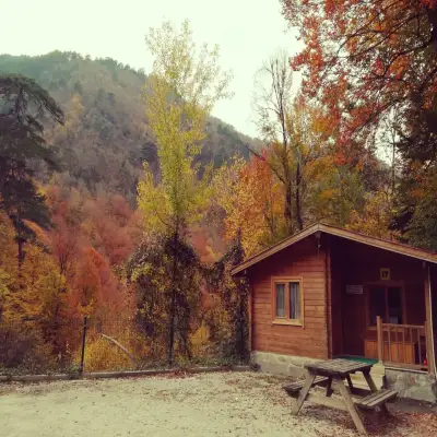 Habitat Mesire Bungalov Evleri - Yedigöller