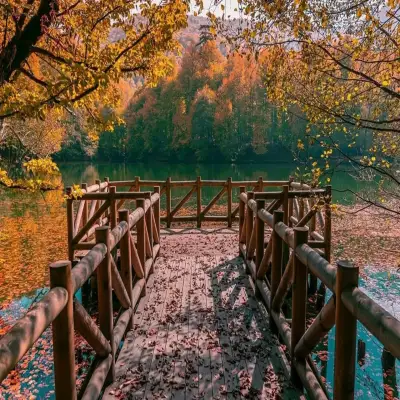Habitat Mesire Bungalov Evleri Yedigöller