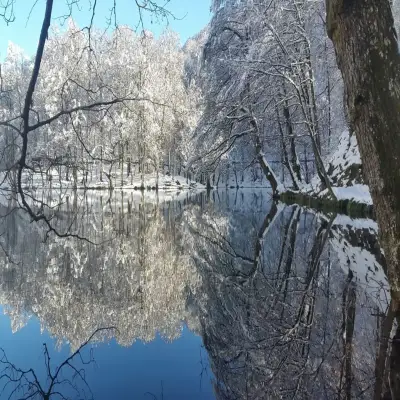 Habitat Mesire Bungalov Evleri Yedigöller