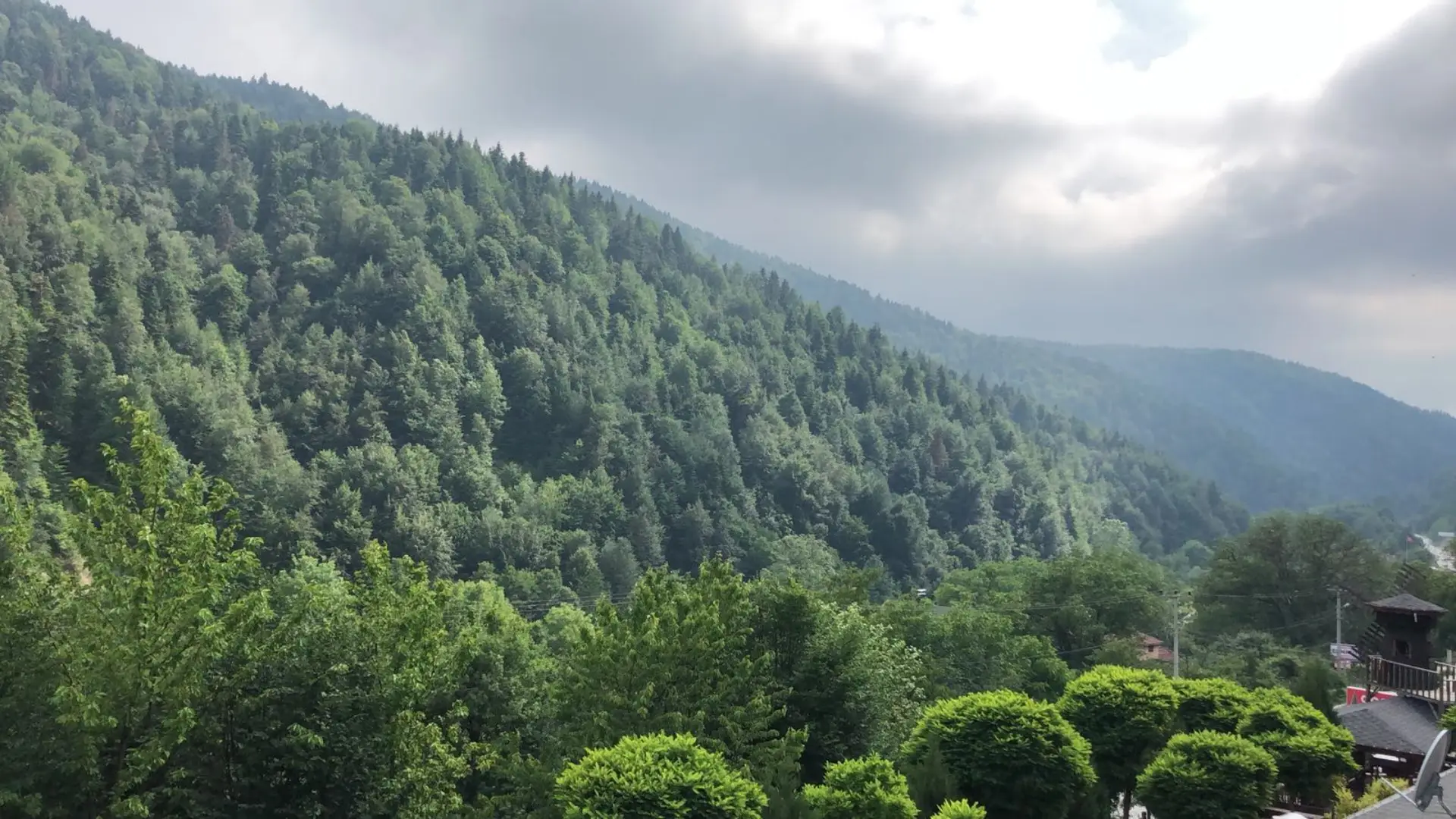 Hotels Surrounded by Nature