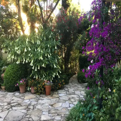 Emel Pension Güzelçamlı