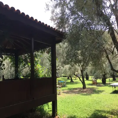 Emel Pension Güzelçamlı