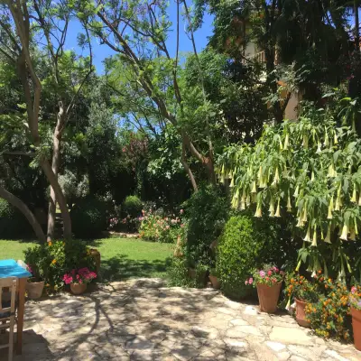 Emel Pension Güzelçamlı