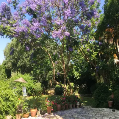 Emel Pension Güzelçamlı