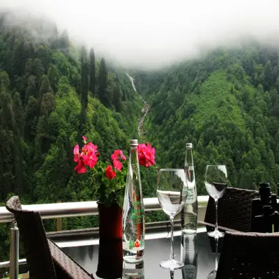 Ayder Villa de Pelit