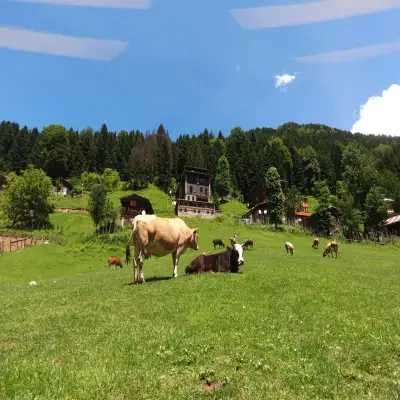 Ayder Villa de Pelit