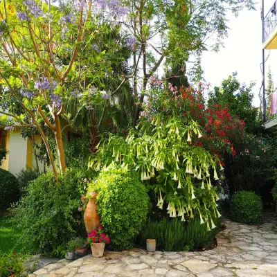 Emel Pension Güzelçamlı