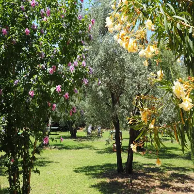 Emel Pension Güzelçamlı