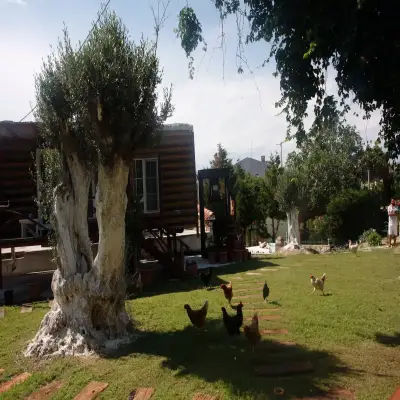 Taş Avlu Otel