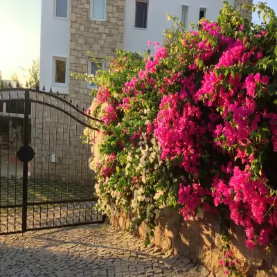 Sun Garden Apart