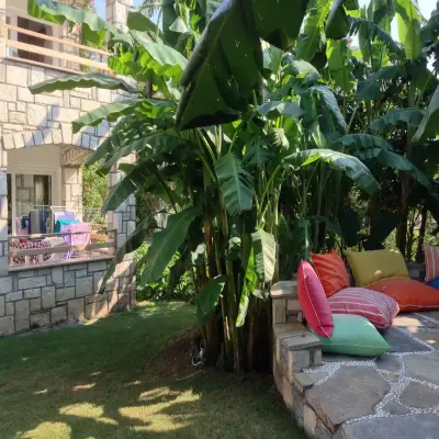 Sun Garden Apart