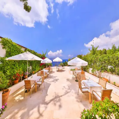 Gardenia Hotel, +12