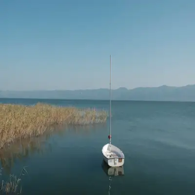 The Lake House, +12