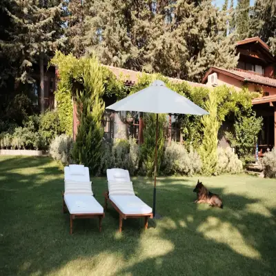The Lake House, +12