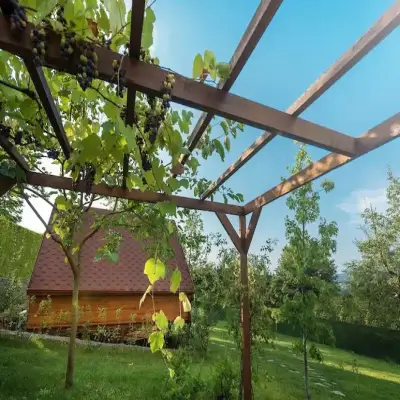 Babil Bungalov Hotel