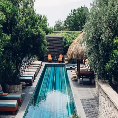 Alavya Hotel