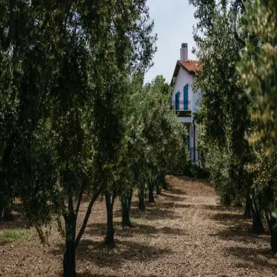 Otel Od Ura, +16