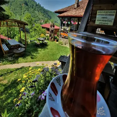 Şatıroğlu Konağı