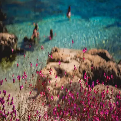 Blanca Beach, Hidayet'in Yeri