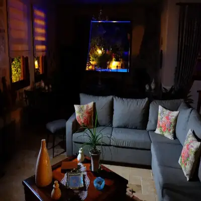 Mandarin & Mango Hotel,+12