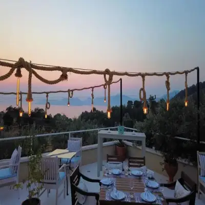 Mandarin & Mango Hotel,+12