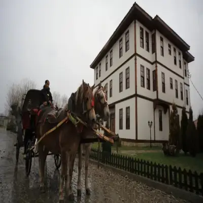 İksir Resort Town Daday