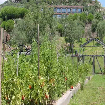 Assos Longevity Hotel, +12