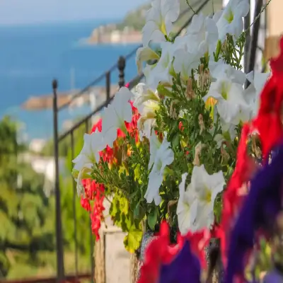 Assos Longevity Hotel, +12
