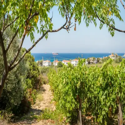 Talay Bağları Konukevi