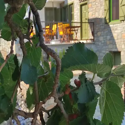 The Hill Village House