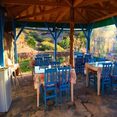 Alterna Village House