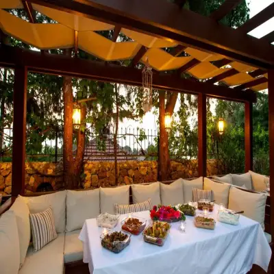 Mandarin & Mango Hotel,+12
