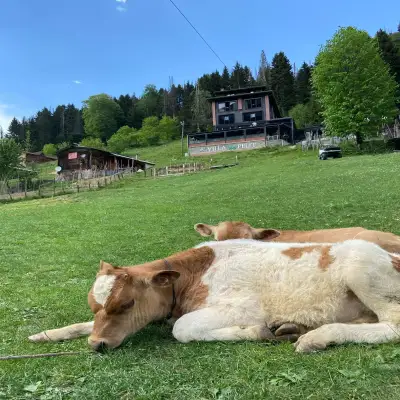 Ayder Villa de Pelit