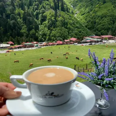 Ayder Villa de Pelit