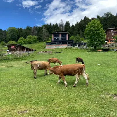 Ayder Villa de Pelit